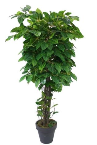 Yapay Mango Ağacı Yeşil 170cm