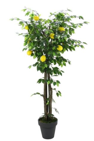 Yapay Limon Ağacı 170cm