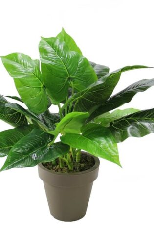 Yapay Antoryum Bitkisi 55cm