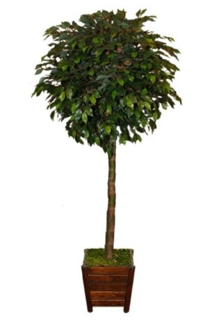 Yapay Ağaç Topiary Ficus 190cm