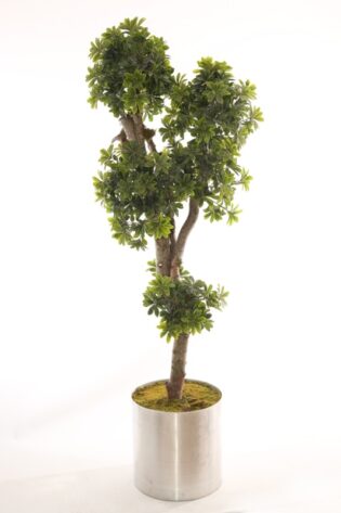 Yapay Ağaç Pittosporum Bonsai 180cm