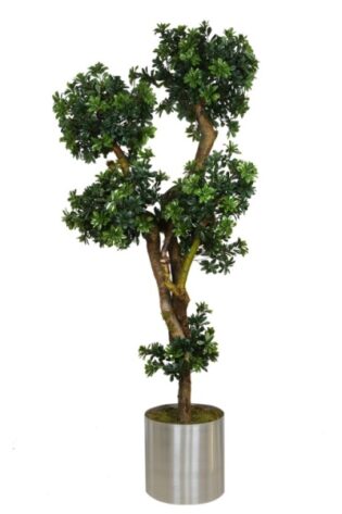 Yapay Ağaç Pittosporum Bonsai 200cm