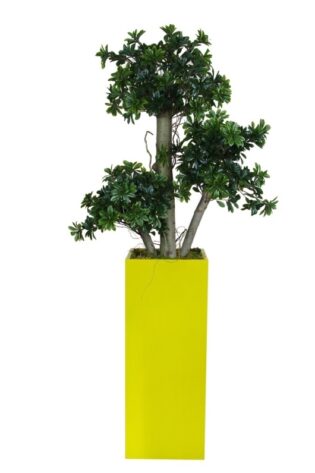 Yapay Ağaç Pittosporum 90cm