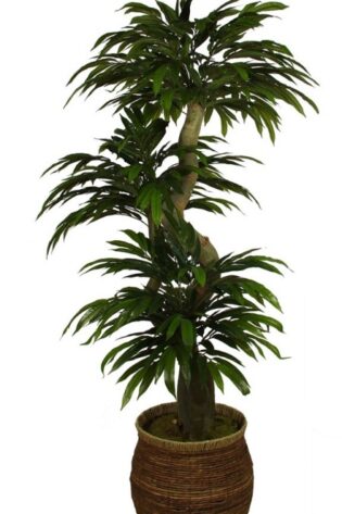 Yapay Ağaç Mango 180cm