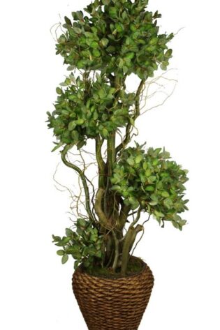 Yapay Ağaç Fittonia 180cm