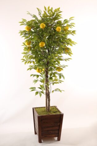 Yapay Limon Ağacı 180cm