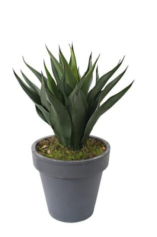 Yapay Agave Ağacı Yeşil