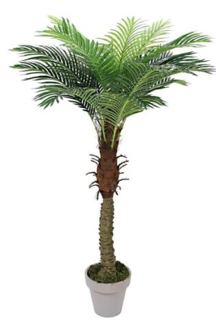 Yapay Areca Palmiye Ağacı 180cm