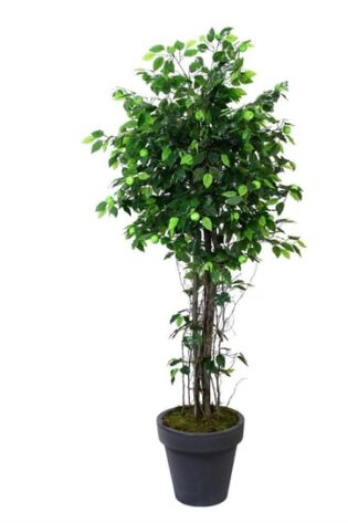 Yapay Bambu Ağacı 165cm