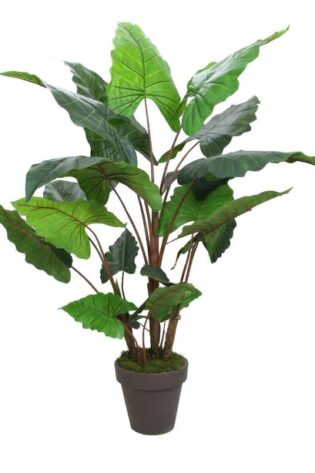 Yapay Fil Kulağı Ağacı 170cm