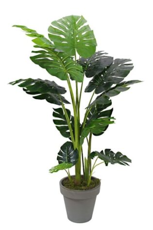 Yapay Monstera Ağacı 150cm